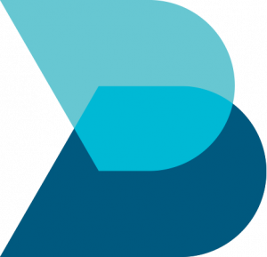 Blue Chip SMSF Services